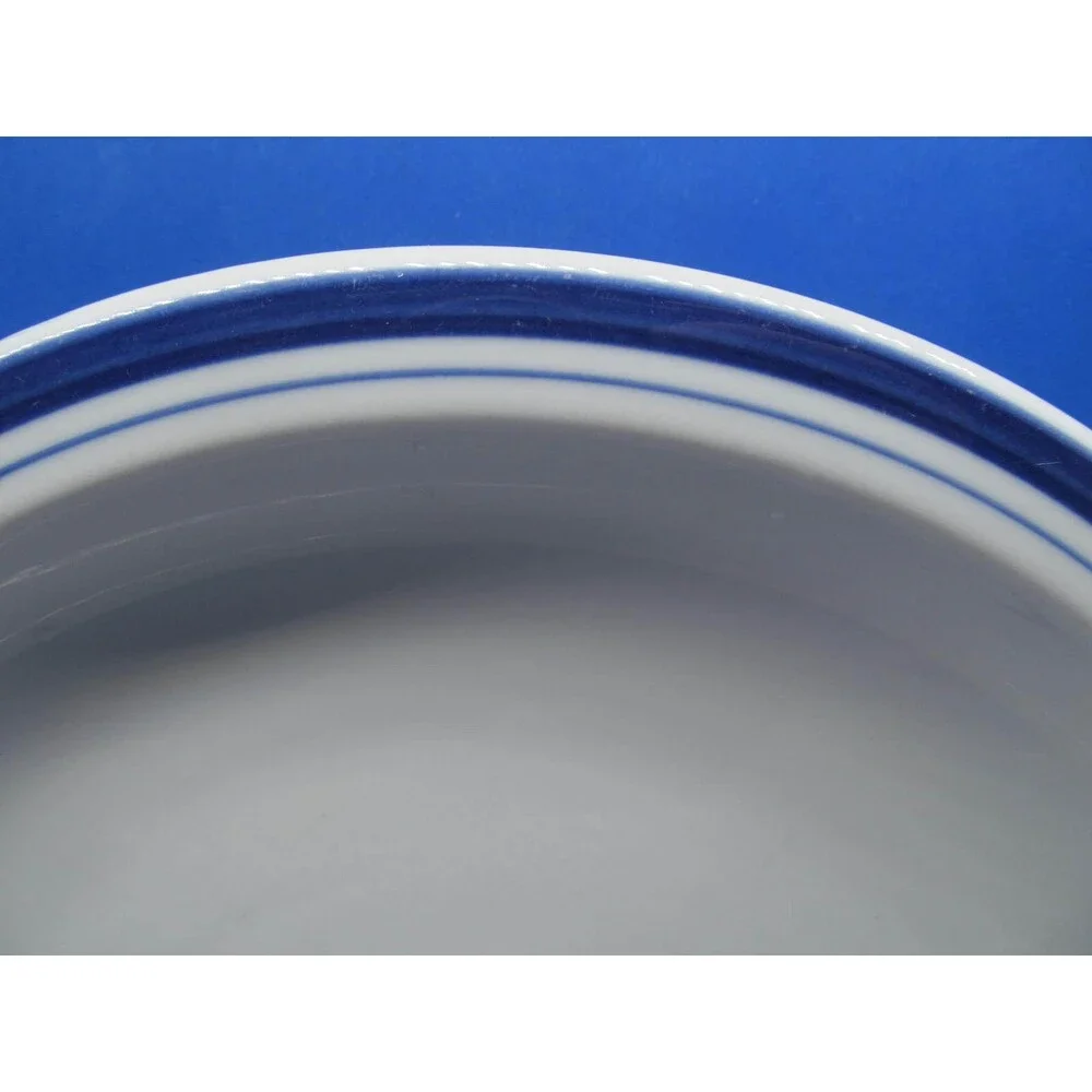 Pottery Barn Club Blue Restaurant Ware 10 3/8